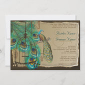 Musical Peacock Bird Cage Feather Burnt Parchment Kaart (Voorkant)
