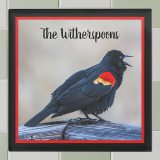 Musical Redwing Blackbird in Marsh Glazen Onderzetter