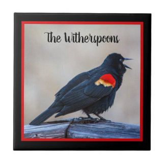 Musical Redwing Blackbird in Marsh Tegeltje