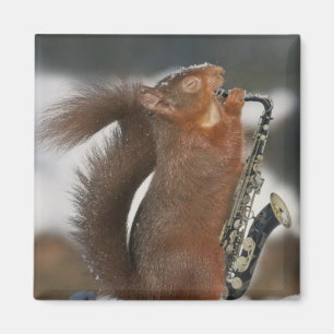Musical Squirrel Magnet Magneet