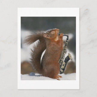 Musical Squirrel Post card Briefkaart