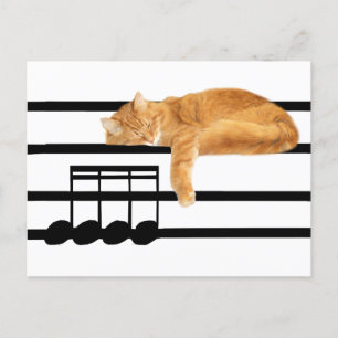 Musical tabby kitty cat briefkaart