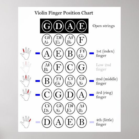 Musical Violin First Position Finger Chart Poster (Voorkant)