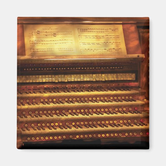 Musicus - organisme - de pijplijn magneet (Voorkant)