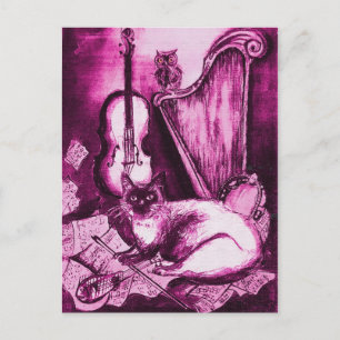 MUSISCHE CAT, Roze Violet en wit Briefkaart