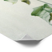 Musk Mallow, 18e eeuw Poster (Hoek)