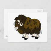 Musk Ox Briefkaart (Voorkant / Achterkant)