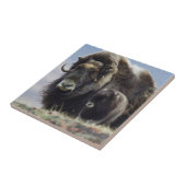 Musk Ox met Calf Tegeltje (Zijkant)