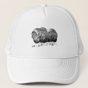 Musk Ox Trucker Pet