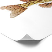 Muskie art poster (Hoek)