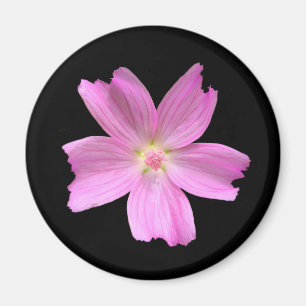 Muskmallow Magnet Magneet