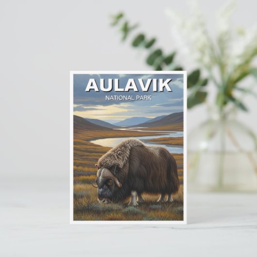 Muskox in het Aulavik National Park in Canada Briefkaart (Staand voorkant)
