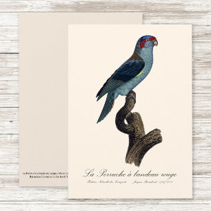 Muskparkiet Bedankkaart