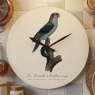 Muskparkiet Grote Klok