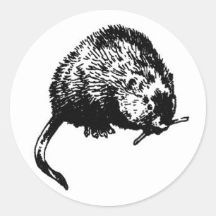 Muskrat (afbeelding) ronde sticker
