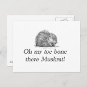 Muskrat | Carte postale (Devant / Derrière)