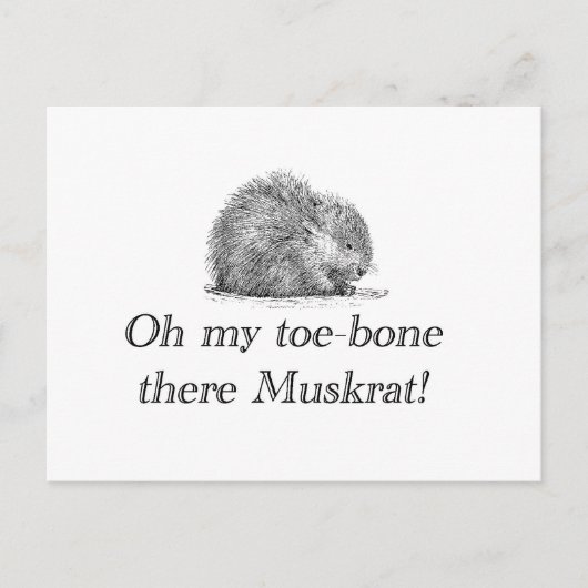 Muskrat | Carte postale (Devant)