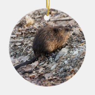Muskrat Keramisch Ornament