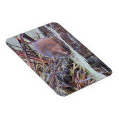 Muskrat Magneet (Rechterzijde)