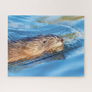 Muskrat op Vassar Boerderijen Ecological Preserve Legpuzzel