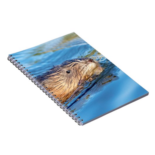 Muskrat op Vassar Boerderijen Ecological Preserve Notitieboek (Rechterzijde)