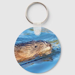 Muskrat op Vassar Boerderijen Ecologisch park Sleutelhanger