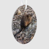 Muskrat Ornament (voorkant)