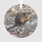 Muskrat Ornament (achterkant)