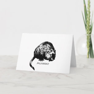 Muskusrat (illustratie) kaart
