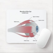 Muskussens van de Oogkever Muismat (Met muis)