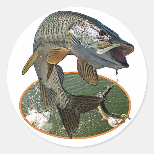 Musky 6 ronde sticker (Voorkant)