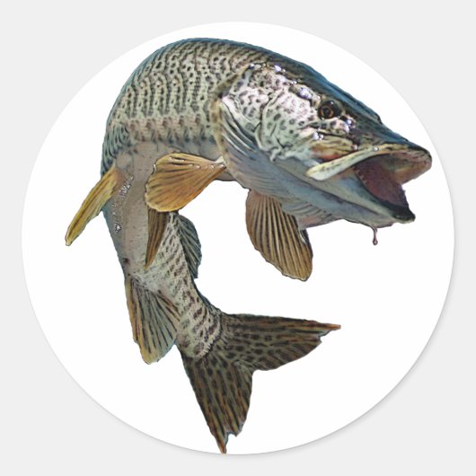 Musky hunter 7 ronde sticker (Voorkant)