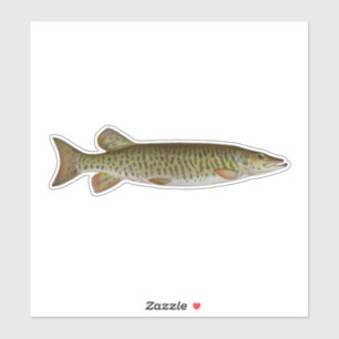 Musky - Zoetwater Gevist Sticker