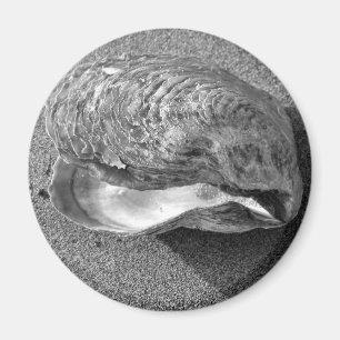 Mussel Seashell Sand Beach Magnet Magneet