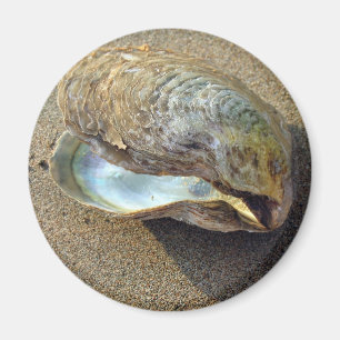 Mussel Seashell Sand Beach Magnet Magneet