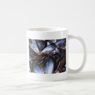 Mussel Shells Mok