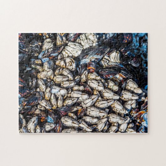 Mussels and gooseneck barnacles - Tofino, BC. Legpuzzel (Horizontaal)