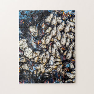 Mussels and gooseneck barnacles - Tofino, BC. Legpuzzel