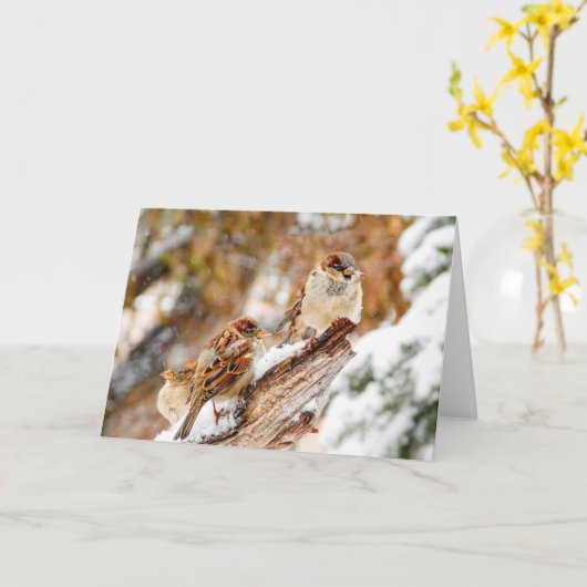 Mussen in Sneeuw Storm Kerst Wenskaart Kaart (Gele Bloem)