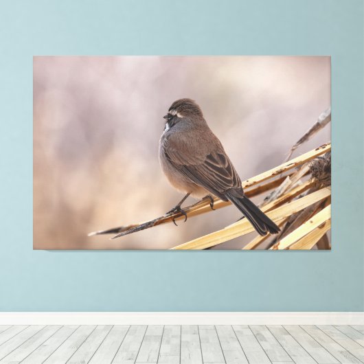 Mussen op een dunne tak canvas afdruk (Insitu (Houten vloer))