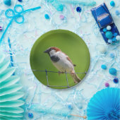 Mussen Papier Bord (Feest)