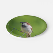 Mussen Papier Bord (Gekanteld)