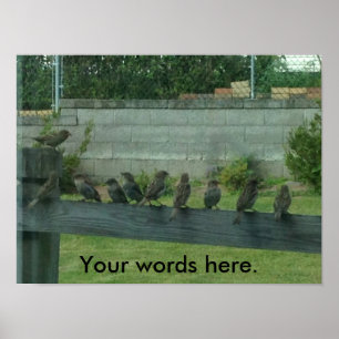Mussen Vogels op een Rail Uw Woorden Posters