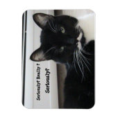 Mustache Tuxedo Cat (serieus?) Magneet (Verticaal)