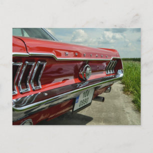 Mustang briefkaart