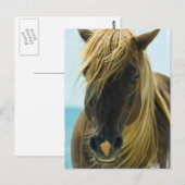 Mustang Briefkaart (Voorkant / Achterkant)