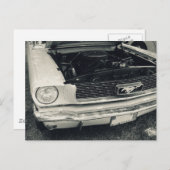 Mustang briefkaart (Voorkant / Achterkant)