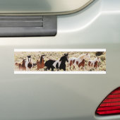 Mustang Bumpersticker (Op auto)