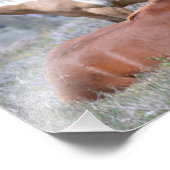 Mustang Charm 19" x 13" Pro. Satin papier photo (Coin)