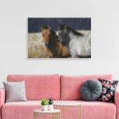 Mustang Foal Headshot Canvas Afdruk (Insitu (Woonkamer))